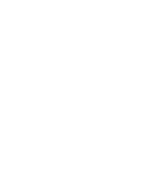Tier Cero